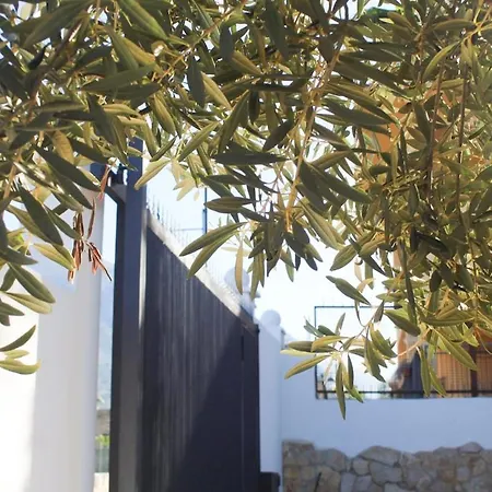 Adelaide וילה צ'יניזי