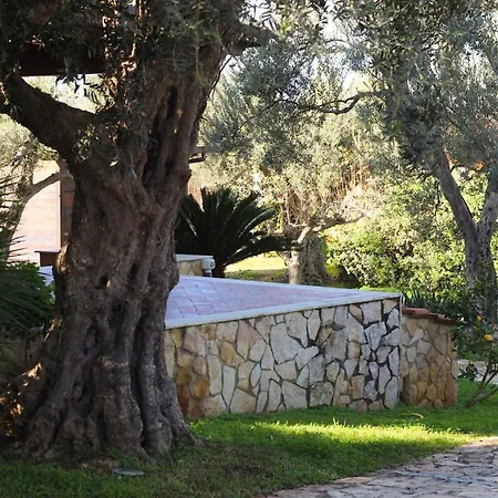Adelaide וילה צ'יניזי